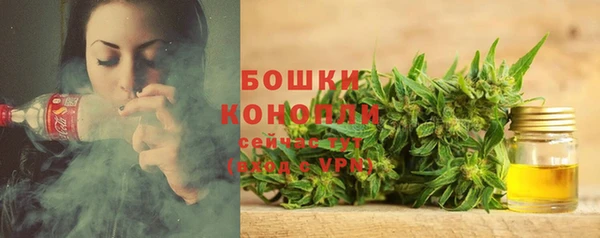 дживик Балабаново