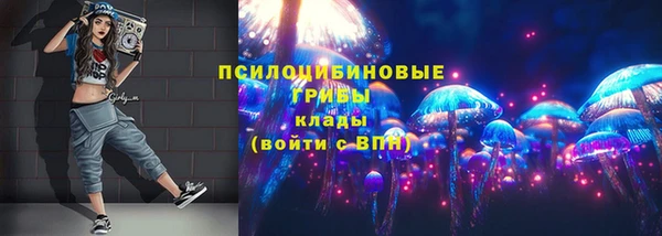 дживик Баксан