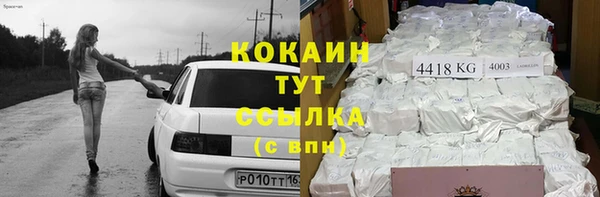 дживик Баксан