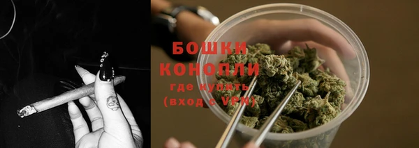 spice Бородино