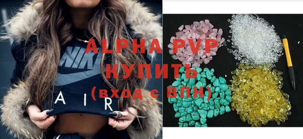 прущие грибы Бронницы